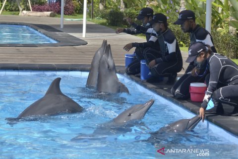 Perawatan satwa di tengah pandemi COVID-19