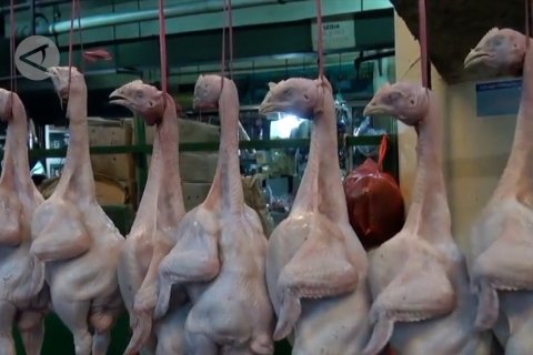 Presiden ingatkan pengawasan manajemen pangan di lapangan