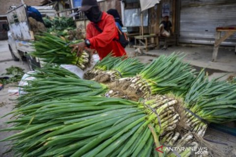 Suplai bahan pangan di tengah pandemi  COVID-19