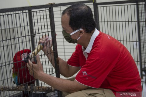 Taman burung TMII butuh donasi pakan