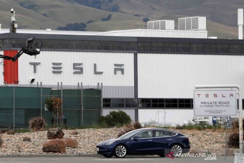 Tentang aturan pembatasan saat pandemi COVID-19, Tesla operasikan kembali pabriknya
