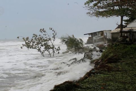 Warga bangun tanggul sementara agar abrasi tak meluas