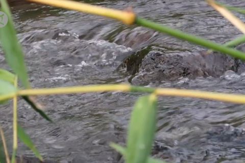 PUPR desain proyek baru untuk serap tenaga kerja