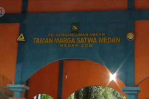 Pemkot ambil alih operasional Medan Zoo
