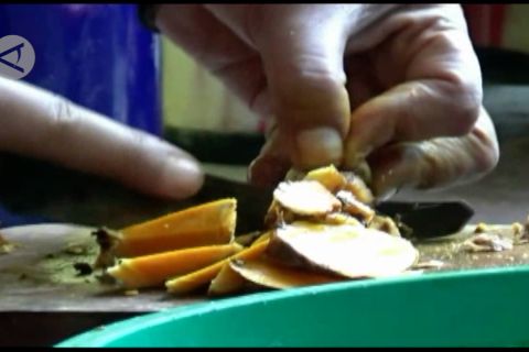 BPOM dorong produksi dan penggunaan obat herbal