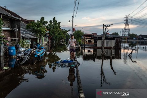 Banjir rob di pesisir Demak