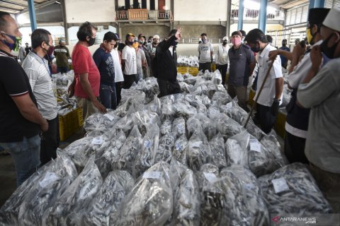 Tempat Pelelangan Ikan Muara Angke kembali dibuka