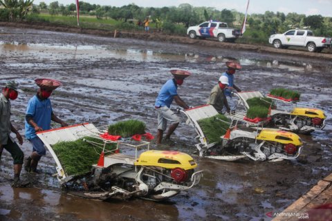 Kunjungan kerja Menteri Pertanian di Kabupaten Pulau Pisau