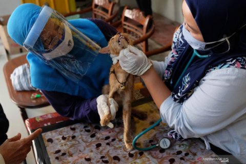 Kenduri Satwa di Solo