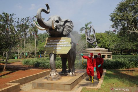 Penyemprotan disinfektan di Taman Margasatwa Ragunan
