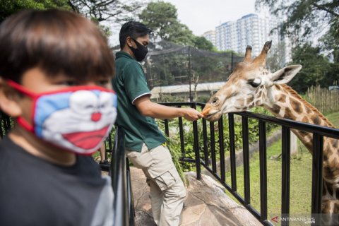 Kebun binatang Bandung dibuka kembali