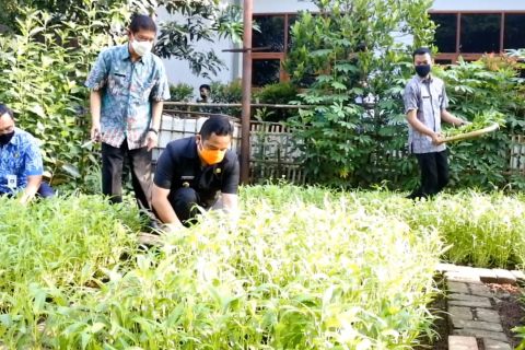 Pemanfaatan lahan terbuka untuk pertanian