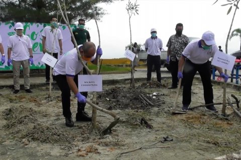 Menyiapkan Pantai Pasir Padi yang bertabur Sakura