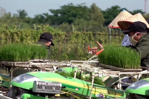Cara Aceh pastikan ketahanan pangan selama pandemi