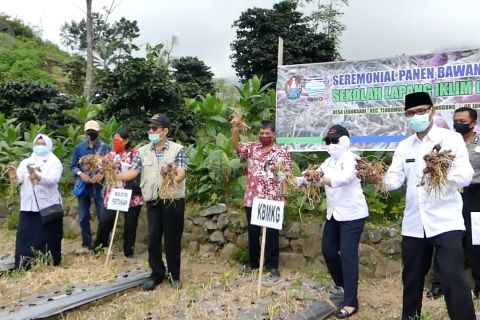 Menjadikan Temanggung penopang kebutuhan bawang merah nasional