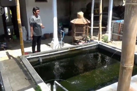 Warga Magetan sukses budidaya ikan nila konsumsi