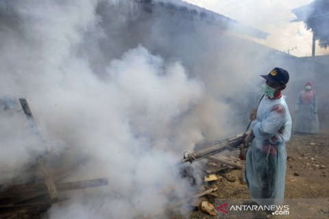 Sebanyak 22 orang meninggal akibat DBD di Lampung