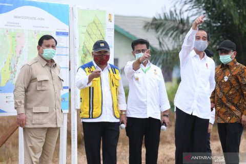 Presiden tinjau lahan lumbung pangan nasional