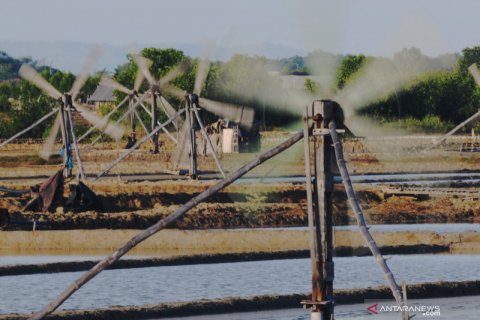 Produksi garam tahun 2020 menurun