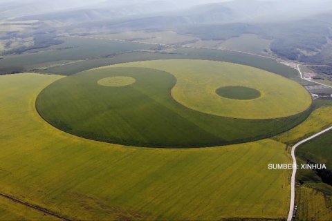 Ladang pertanian China torehkan rekor dunia