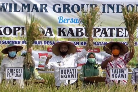 Produksi beras Ngawi capai 770 ribu ton kering giling per tahun