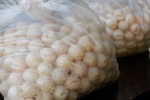 Ditpolair Polda Kalbar gagalkan penyelundupan ribuan telur penyu