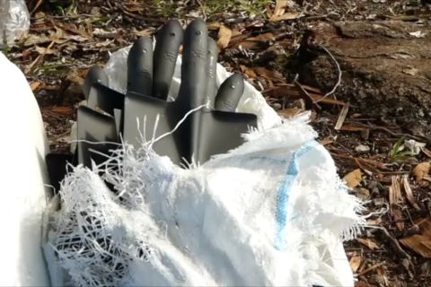 Peralatan pertanian bagi petani di Jayapura