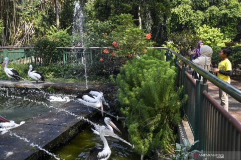 Libur Idul Adha di Taman Margasatwa Ragunan