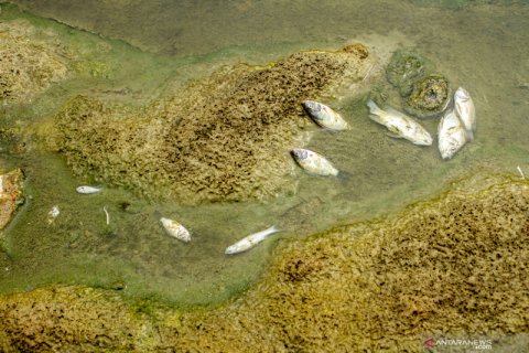 DAS Citarum tercemar limbah