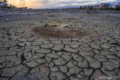 Produksi garam tahun 2020 diprediksi menurun