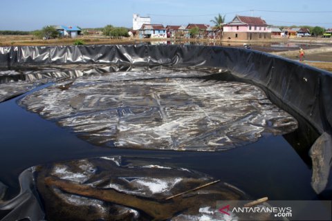 Embung mengering akibat kemarau