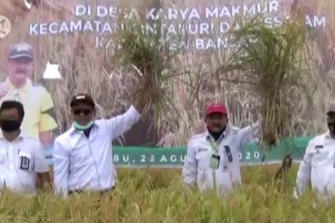 Kalsel optimistis wujudkan ketahanan pangan