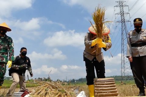 TNI-Polri dorong kemandirian pangan warga Temanggung di masa pandemi
