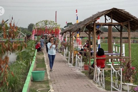 Agrowisata jadi pilihan warga Sumut berlibur di masa pandemi