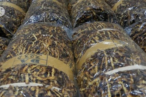 Kemenkeu naikan target cukai tembakau bantu defisit fiskal