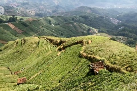 Menikmati sejuk dan hijaunya terasering di Majalengka saat Iduladha