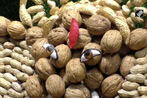 Ganpati dari buah kering untuk dipasang di RS COVID Surat