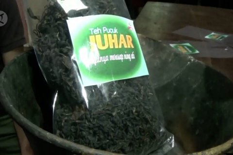 Petani teh tradisional naik kelas