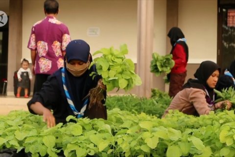 Pramuka dalam gerakan Melati untuk Ketapang