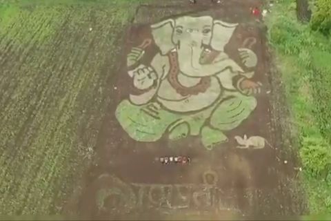 Anak muda India buat gambar Dewa Ganesha di lahan pertanian