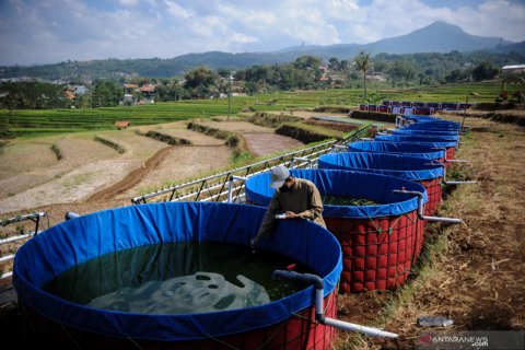 Wisata pertanian terpadu di Bandung