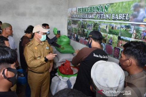 Gubernur Babel resmikan rumah produksi kopi geddong
