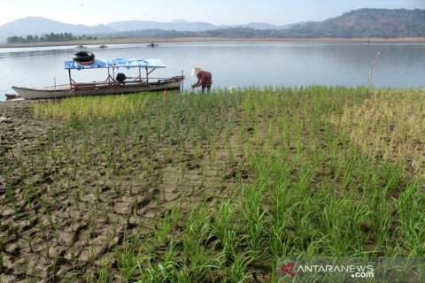 Pemanfaatan Waduk Bili-bili pada musim kemarau