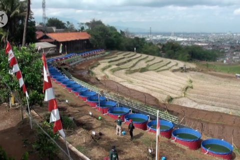 Bandung miliki kawasan pertanian terpadu untuk ketahanan pangan