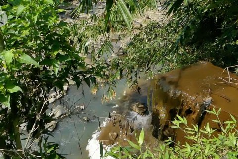 Bupati Temanggung ancam tutup perusahaan yang cemari Sungai Elo