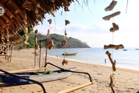 Pemprov NTB kembangkan kawasan hijau destinasi wisata