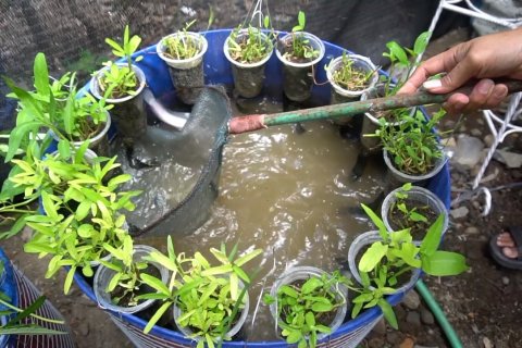 Mini Mina Ponik solusi ketahanan pangan di masa pandemi COVID-19