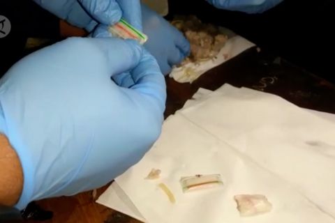 Petugas Lapas Sukamiskin Bandung ungkap bakso berisikan paket sabu