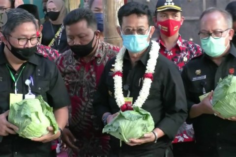 Mentan lepas ekspor kubis ke Taiwan