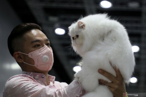 Cat Expo di Kuala Lumpur